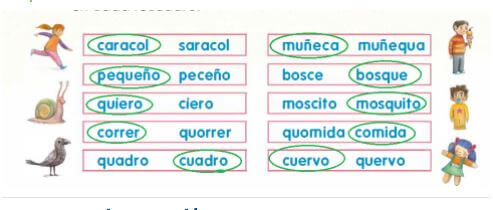 Libro Contestado Lengua Materna Español de Segundo Grado Primaria Bloque 28